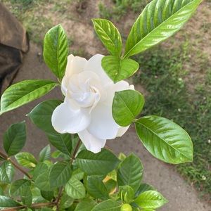 Meet your Posher, Kimberley